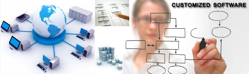 Customized Software